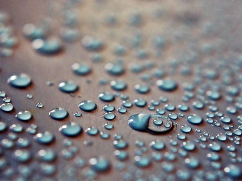 LivaOzTorroRax Mendoza